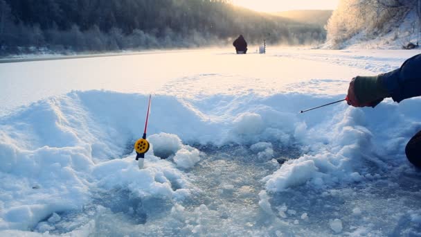 Halászat Folyón Téli Napsütéses Napon — Stock videók