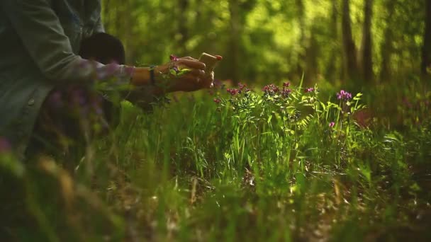 Une Jeune Fille Photographie Des Fleurs Sur Smartphone — Video