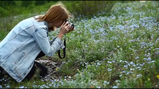 Giovane Ragazza Scatta Foto Rami Albero Fiori Una Macchina Fotografica — Video Stock