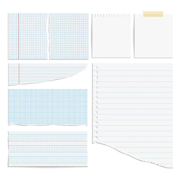 Set of different notebook paper, vector — Stock Vector