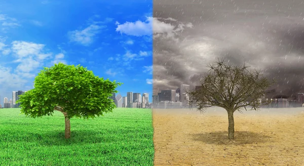 Het concept van klimaat veranderd. Boom levend en dode boom standin — Stockfoto