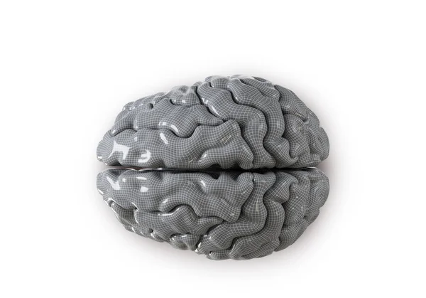 Human brain with geometry cell on the white  background. Concept — Stock Photo, Image