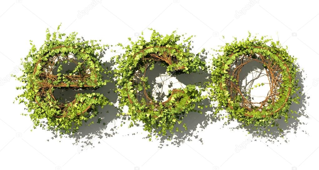 Eco concept. Eco word made of green vector leaves. Word made of 