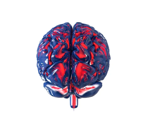 Ludzki mózg z przezroczystością chanel, na białym tle. Koncepcja — Zdjęcie stockowe