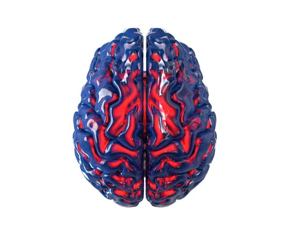 Menschliches Gehirn mit Transparenzkanal, isoliert auf weiß. Konzept — Stockfoto