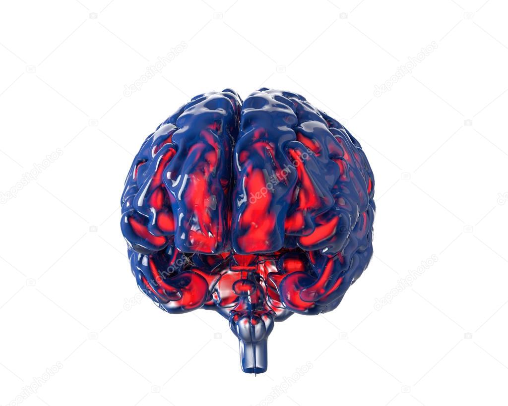 Human brain with transparency chanel, isolated on white. Concept