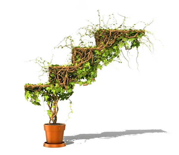 Επιχειρηματική ιδέα. Πράσινο φυτό του κισσού υπό μορφή επιχείρησης σκάλες. — Φωτογραφία Αρχείου