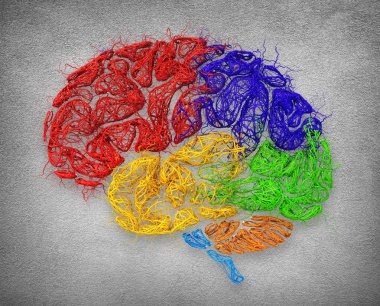 Neural ağ kavramı. 