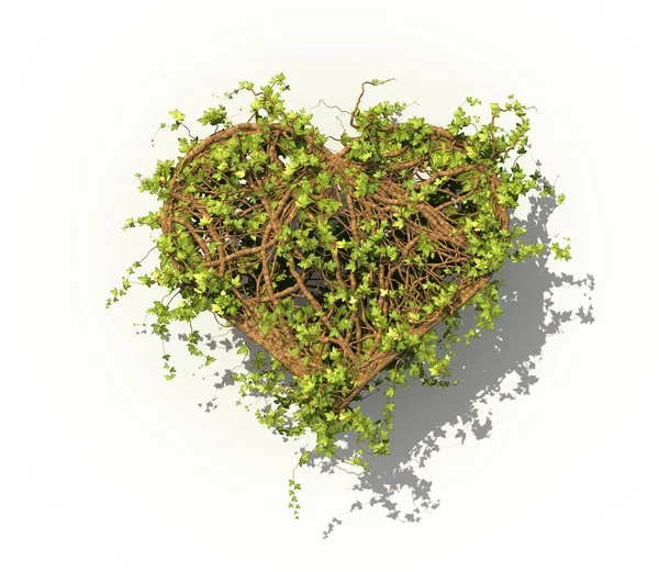 Gesundheitsbegriff. die Pflanze in Herzform. 3D-Illustration — Stockfoto