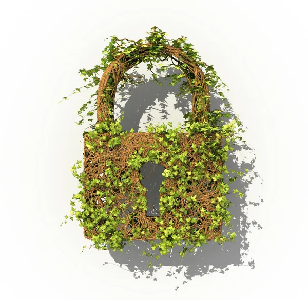 Zugangskonzept. die grüne Pflanze in Form eines Vorhängeschlosses. 3D-Illustration — Stockfoto