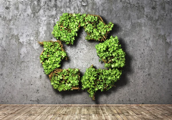 Conceito ecológico. A planta verde em forma de símbolo de reciclagem em um co — Fotografia de Stock