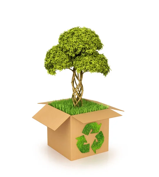 Concepto de conservación de la naturaleza. Caja de cartón con reciclaje verde — Foto de Stock