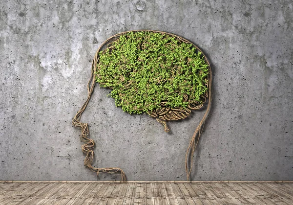 Concepto de pensamiento. La planta verde en forma de cabeza humana con — Foto de Stock