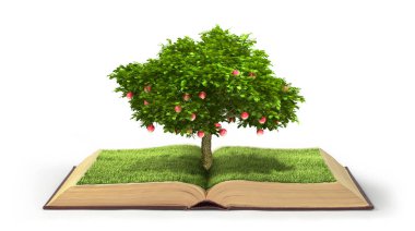 Bilgi kavramı. Ağaç meyve o büyüyen bilgi ile