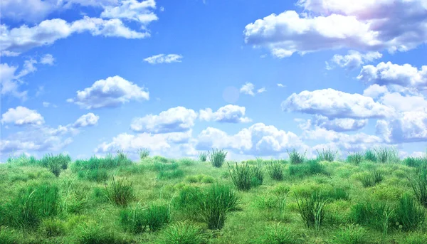 Champ vert sous le ciel bleu avec des nuages. Papier peint beauté. 3d malade — Photo