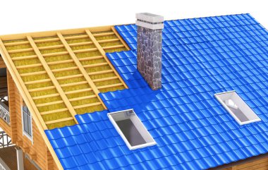  Kesim çatı. Gösteri çatı izolasyonu. 3D çizim