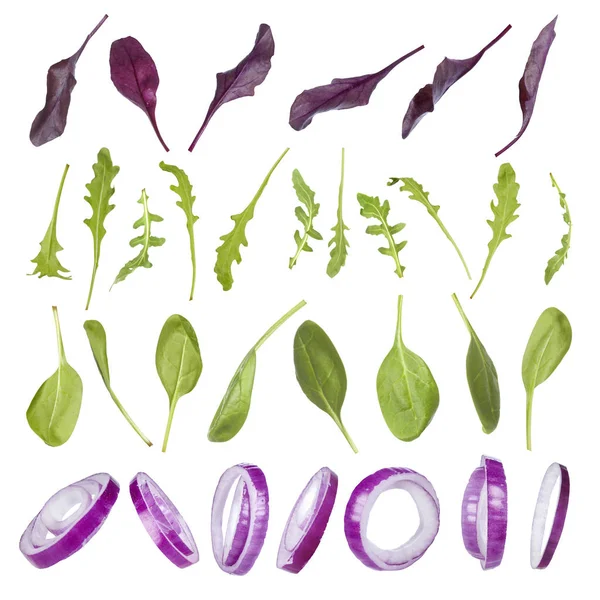 Листья зеленого салата, руккола, лук, шпинат, набор кинзы — стоковое фото