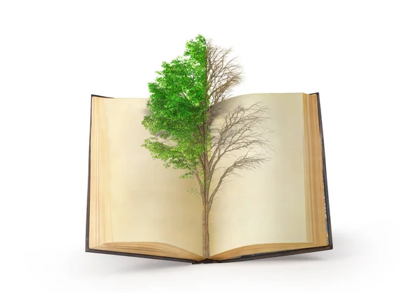 Concepto de mente. árbol de la dureza siguiente de imprimir en libro en — Foto de Stock