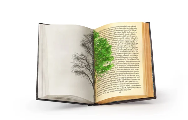 The concept of reading. Dual tree published in an open book. The — Stock Photo, Image