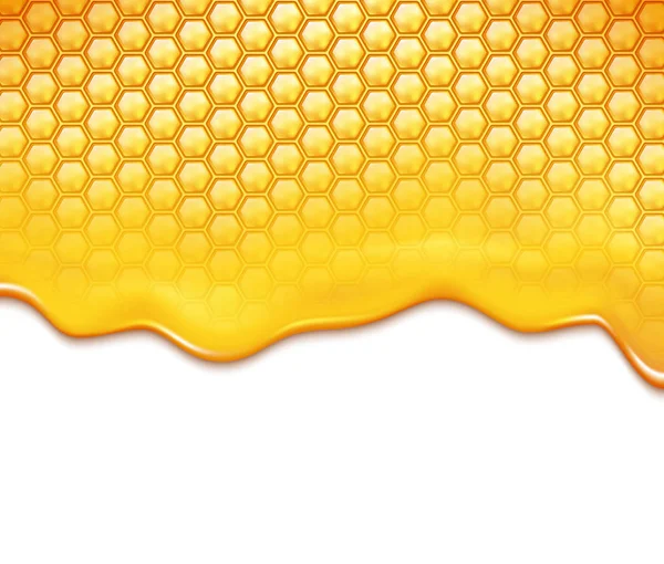 Honeycomb a sladký med nekape. izolované na bílém pozadí — Stockový vektor