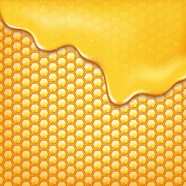 Süßer Honig. Vektorillustration — Stockvektor