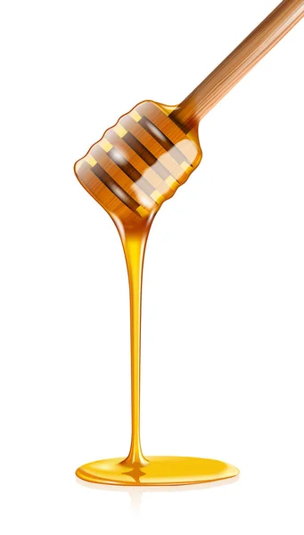 Honey dripping from wooden honey dipper isolated on white backgr — Stock Vector