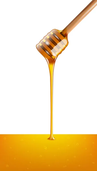 Dripping honey isolated on white background — Stock Vector