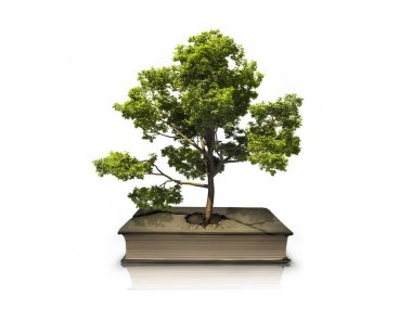 Kavram ağaç bir kitaptan. Kitaptaki çatlamak dan bir ağaç yetişir