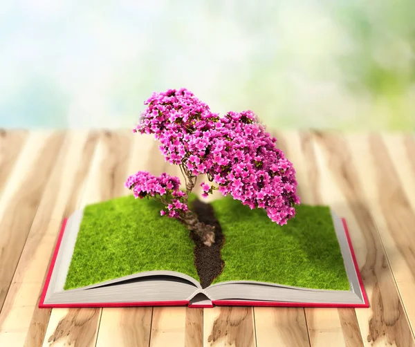 Imagem conceitual com árvore florescente verde crescendo a partir do bo — Fotografia de Stock