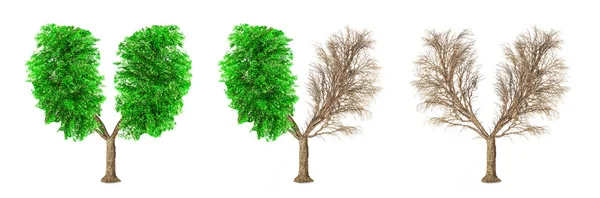 エコの概念。木のセットは人間の肺分離 o の形をしています。 — ストック写真