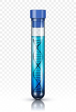 DNA molekülü içinde test tüpü