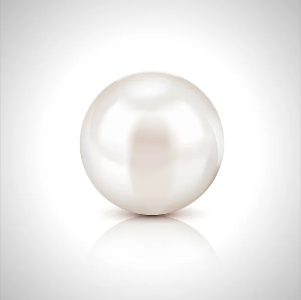 Glänsande naturligt vit pärla med ljuseffekter vektor — Stock vektor