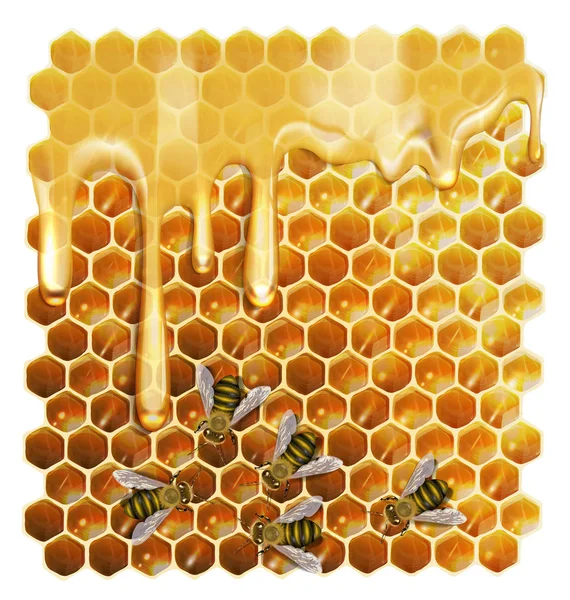 蜂と白い背景の上に蜂蜜 — ストックベクタ