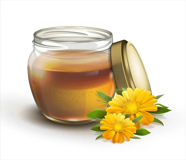 蜂蜜在一个白色背景的罐子里 — 图库矢量图片