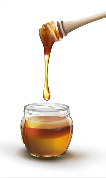 Miele in un barattolo su sfondo bianco — Vettoriale Stock