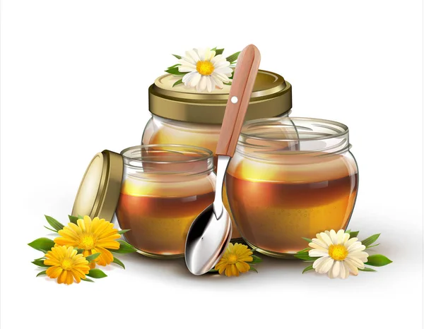 Miel Dans Des Pots Sur Fond Blanc — Image vectorielle
