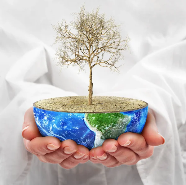 Eco-concept. Handen houden een halve planeet met dode boom. — Stockfoto