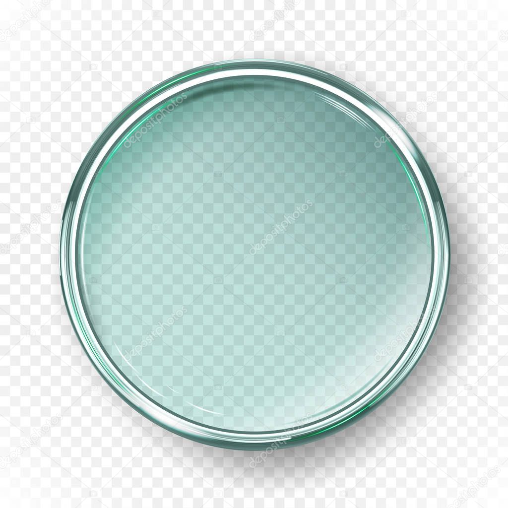 Empty petri dish isolated on transparent background