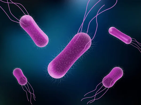 Ilustración vectorial del concepto de Salmonella Bacteria para la medicina — Vector de stock