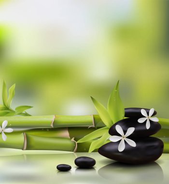 Spa arka plan bambu ve stones.vector ile