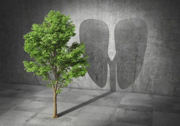 Concepto ecológico. Árbol verde proyectó sombra en forma de pulmones. ilustración 3d — Foto de Stock