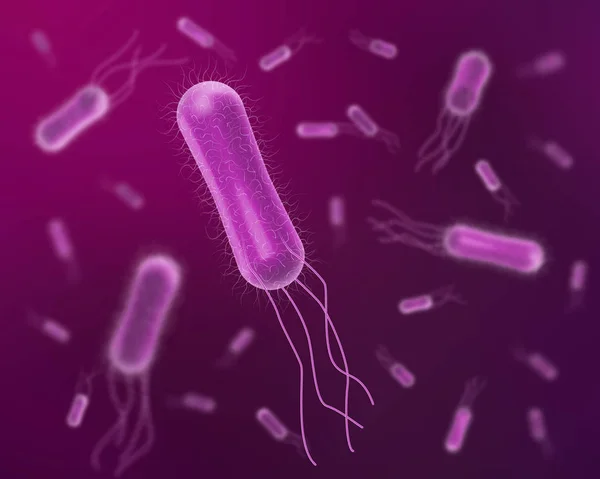 Εικονογράφηση βακτηριακών κυττάρων — Διανυσματικό Αρχείο