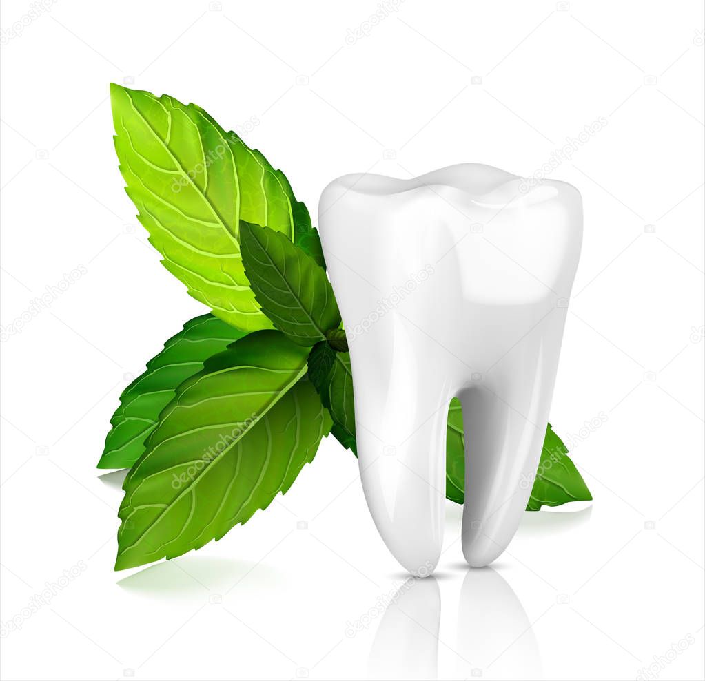 Whitening tooth ads, with mint leaves. Green mint leaves clean fresh concept. Teeth health