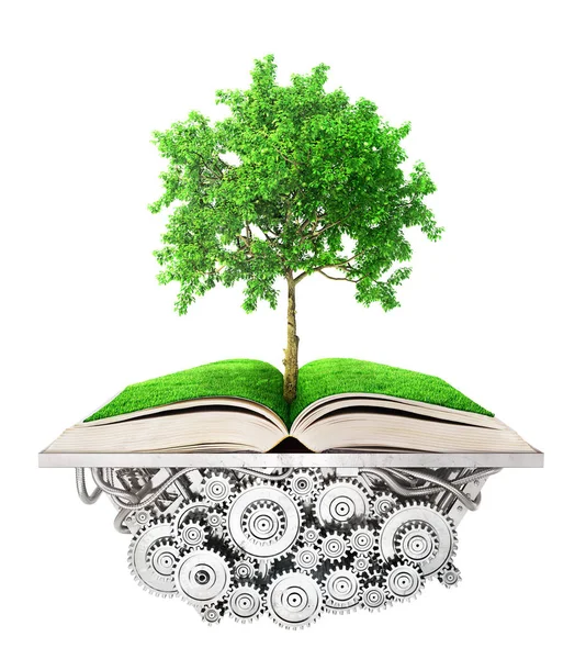 Concetto educativo. Albero della conoscenza cresce dal libro mentire o — Foto Stock