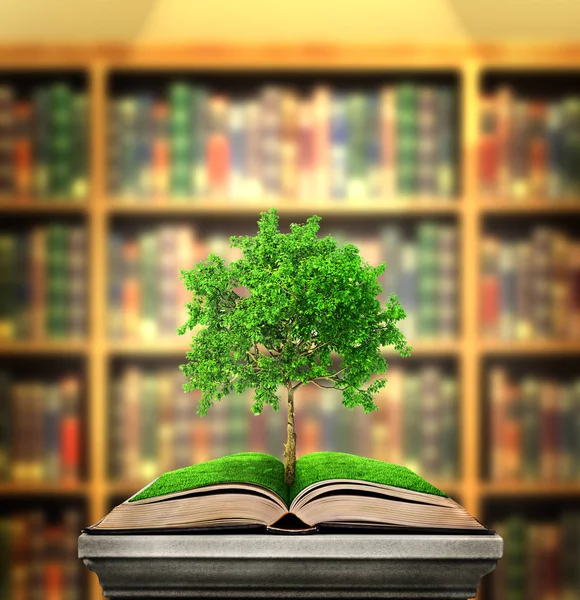 Концепція освіти. Дерево знань виростає з книги, що лежить — стокове фото