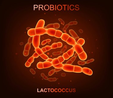 Probiotic bacteria. Good microorganisms concept isolated on black background. Vector realistic lactococcus