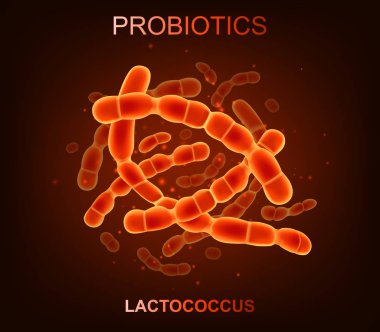 Probiotic bacteria. Good microorganisms concept isolated on black background. Vector realistic lactococcus clipart