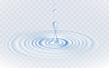 Realistic vector transparent drops and circle ripple on the water isolated on a transparent background.