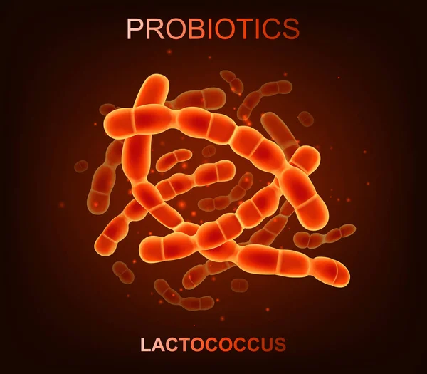 Probiotic bacteria. Good microorganisms concept isolated on black background. Vector realistic lactococcus — 스톡 벡터