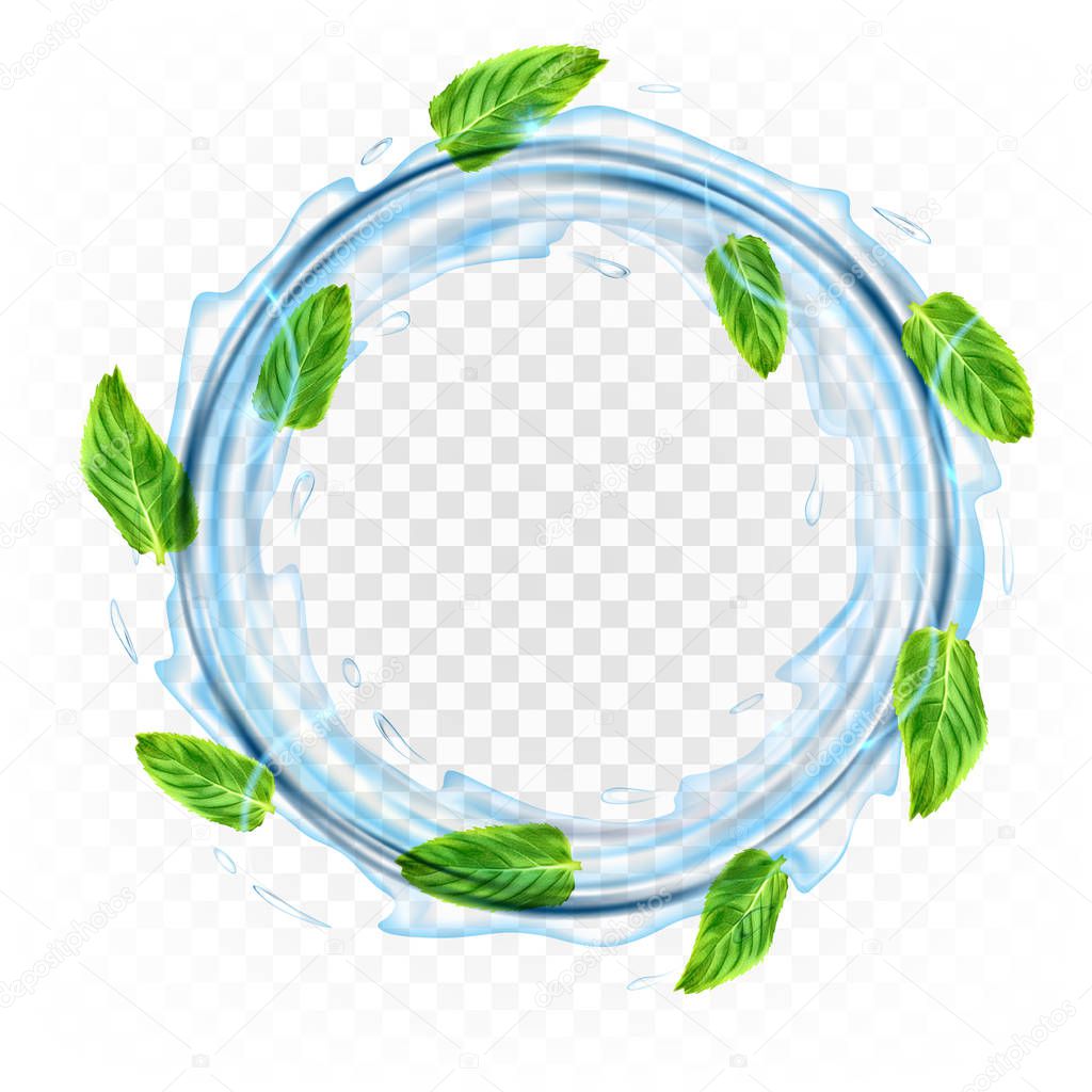 Realistic transparent vector circle splash of water with leaves of  mint.